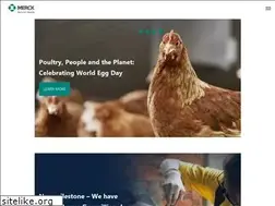 Sites similar to chicken-anaemia.com