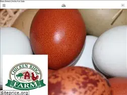 Sites similar to chickenridgefarm.com