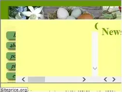 Sites similar to chickenstreet.co.uk