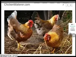 Sites similar to chickenwaterer.com