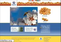 Sites similar to chiconut.com