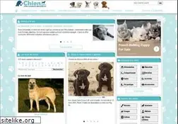 Sites similar to chien.com