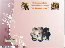 Sites similar to chihuahua-of-mexicanstar.de