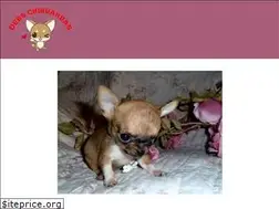 Sites similar to chihuahua-teacups.com