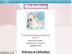 Sites similar to chihuahuadreams.com