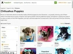 Sites similar to chihuahuapuppiesforsale.net