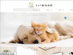 Sites similar to chikawa.com