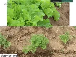 Sites similar to chikyu-jin.com