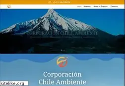 Sites similar to chileambiente.cl