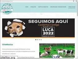 Sites similar to chilemestizo.cl