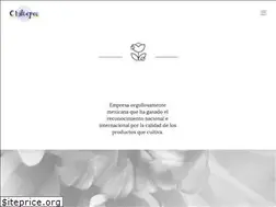 Sites similar to chiltepec.com