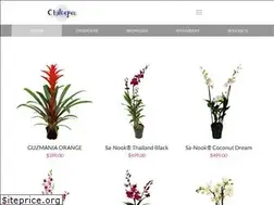 Sites similar to chiltepeconline.com