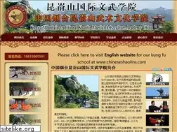 Sites similar to chinashaolins.com