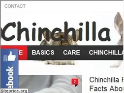 Sites similar to chinchilla.co