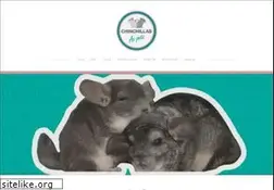 Sites similar to chinchillasaspets.com