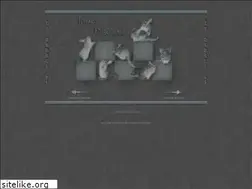 Sites similar to chins.de
