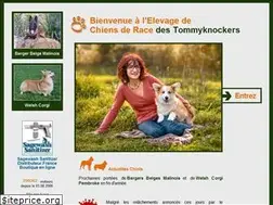 Sites similar to chiot-chien.com