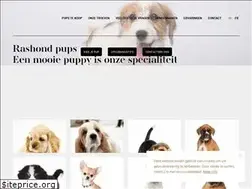 Sites similar to chiotshoussin.be