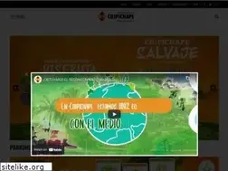 Sites similar to chipichape.com.co