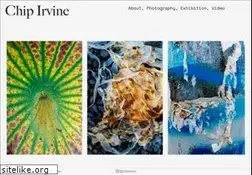 Sites similar to chipirvine.com