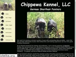 Sites similar to chippewa-gsp.com