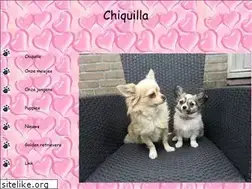 Sites similar to chiquilla.nl