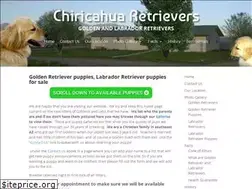 Sites similar to chiricahuaretrievers.com