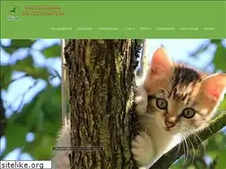 Sites similar to chiron.com.pl