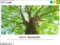Sites similar to chishinjyuku.com