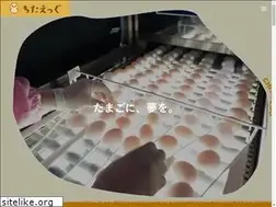 Sites similar to chita-egg.co.jp