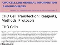 Sites similar to cho-cell-transfection.com
