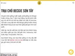 Sites similar to chobecgie.vn