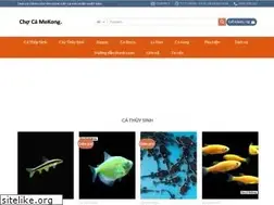 Sites similar to chocamekong.com