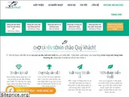 Sites similar to chocayenso.com