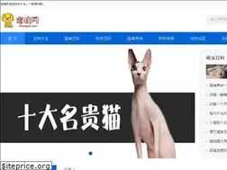 Sites similar to chongso.com