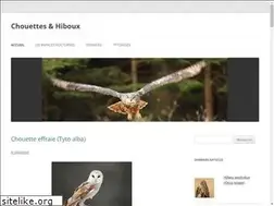 Sites similar to chouette-et-hibou.fr