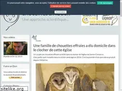 Sites similar to chouettes.com