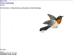 Sites similar to chrisamelung.com