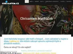 Sites similar to chrisantem.cz