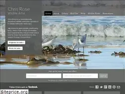Sites similar to chrisrose-artist.co.uk