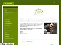 Sites similar to chrissannthemum.com