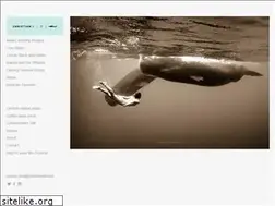 Sites similar to christianvizl.com