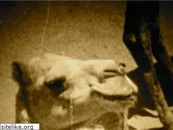 Sites similar to christianwolfarth.ch
