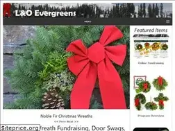 Sites similar to christmaswreathfundraiser.net