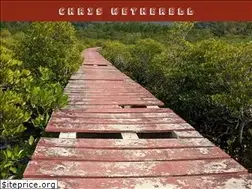 Sites similar to chriswetherell.com