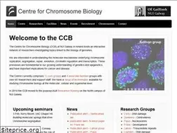 Sites similar to chromosome.ie