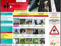 Sites similar to chrtivnouzi.cz