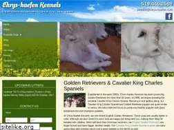 Sites similar to chrys-haefen.com