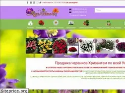 Sites similar to chrysanthema.biz