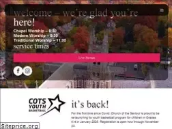 Sites similar to chsaviour.org